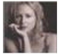 Jewel – Spirit – Neuf