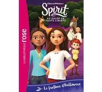 Collectif – Spirit 25 : Le fantôme d'Halloween – Poche – Roman cadet