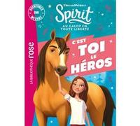 Spirit - Aventures sur mesure XXL Dreamworks (Auteur), Catherine Kalengula (Auteur)