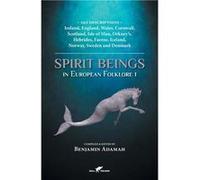 Spirit Beings in European Folklore 1 292 descriptions Ireland England Wales Cornwall Scotland Isle of Man Orkneys Hebrides Faeroe Iceland Norway Sweden an Benjamin AdamahBenjamin Adamah (Auteur)