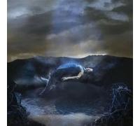 Spirit Exit Vinyle Argent G
