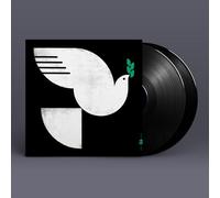 Spirit Fall Vinyle