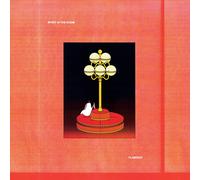 Spirit in the Room FLAMINGO (Vinyl)