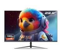 Spirit Of Gamer Epic E24I165 ecran PC Gamer, Full HD, 23.8 Pouces, 165hz, 1ms, HDMI/DP/VGA Compatible, 300 CD/m2, Anti Lumiere Bleue (23.8 Pouces)
