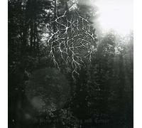 Spirit of the Forest - Brew of Lighting and Terror – CD