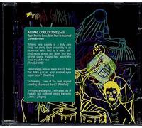 Animal Collective - Spirit They're Gone