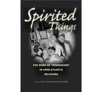 Spirited Things by Paul Christopher Johnson Paperback Book Paul Christopher Johnson (Auteur)