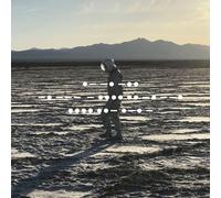 Spiritualized And Nothing Hurt (Vinyl)