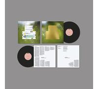 Spiritualized - Everything Was Beautiful [Import]