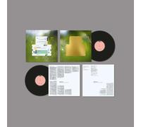 Spiritualized - Everything Was Beautiful