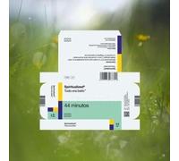 Spiritualized - Everything Was Beautiful [Import]