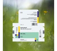 Spiritualized - Everything Was Beautiful [Import]