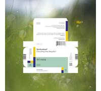 Spiritualized - Everything Was Beautiful [Cd]