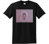 SPIRITUALIZED T Shirt Let it Come Down Manches Courtes(Medium)