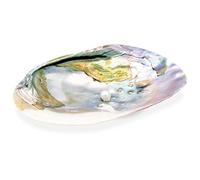 Spiru - Coquillage de nacre avec perles - Blanc - Ronde - 1 pièce - CRAFT_BEAD - Coquillage - Nacre - Mother-of-pearl shell decorative item
