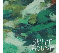 Spite House