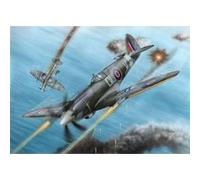 Spitfire F Mk.21 No.91 Sq.raf In Wwii - 1:72e - Special Hobby G