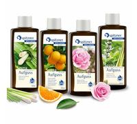Spitzner Infusion pour sauna - Esprit libre : Citronnelle, orange, rose et basilic citron (4x190ml)