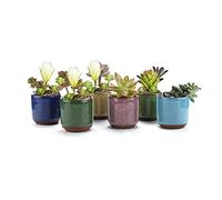 Spldsun Lot de 6 pots de fleurs en céramique pour plantes grasses, cactus et mini pots de fleurs, peuvent être utilisés pour faire pousser des cactus, des plantes succulentes et quelques petites