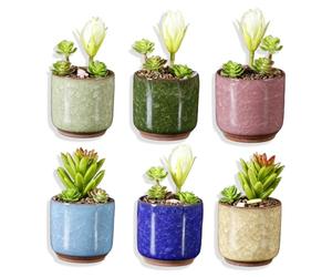 Spldsun Lot de 6 pots de fleurs en céramique pour plantes grasses, cactus et mini pots de fleurs, peuvent être utilisés pour faire pousser des cactus, des plantes succulentes et quelques petites