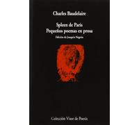 Spleen de París: Pequeños poemas en prosa
