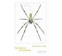 Splendeurs de l'araignée