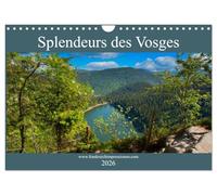 Splendeurs des Vosges (Calendrier mural 2026 DIN A4 vertical), CALVENDO calendrier mensuel: Les paysages vosgiens sont le portrait d'une nature sauvage et préservée,