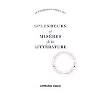 Splendeurs et misères de la littérature: De la démocratisation des lettres