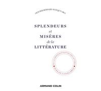 Splendeurs Et Misères De La Littérature - Ou La Démocratisation Des Lettres, De Balzac À Houellebecq