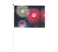 Splendid Fireworks Lot de 10 drapeaux à main imprimés de feux d'artifice 14 x 20,8 cm