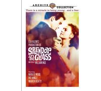Splendor In The Grass [Digital Video Disc] Ntsc Format