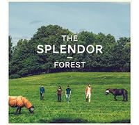 Splendor, the - Forest