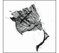 Split Cranium - 7-Sceptres to Rus [Import]