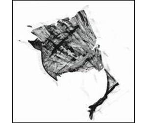 Split Cranium - 7-Sceptres to Rus [Import]