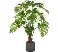 Split Philodendron 100cm vert et blanc dans pot plastique gris 17,5x18cm avec terreau Plante artificielle