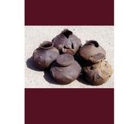 Spong Hill IX: Chronology and Synthesis (McDonald Institute Monograph) - [Livre en VO] C Hills, Sam Lucy (Auteur)