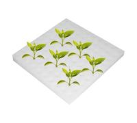 Sponge Sämling - Bloc de plantation d'hydroculture en coton, éponge de culture carrée | Utilisation de la Konkaver sans terre avec fente croisée, idéale pour la culture végétale