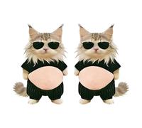 Sponge Stickers 3D Cat Belly - Fun Reusable Decals for Kids Friends | Cute Laptop Notebook Fridge Planner Water Bottle Lunch Box Stickers for Indoor Outdoor Home Car School Office Decor