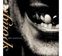 Sponge - Wax Ecstatic