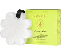 Spongellé Pot Douche Douche En Boîte Avec Tampon Infusé Et Verveine Noix De Coco