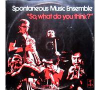 Spontaneous Music Ensemble - So, What Do You Think? [Vinyl LP] [Schallplatte]