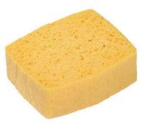 Eponge végétale SPONTEX Azella 40 n°2 - Sachet de 10 -