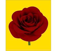 Spoon/Missing You(Regular Edit [Import allemand]