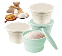 Sporgo Lot de 4 boîtes à pizza pliables avec couvercle - En silicone anti-adhésif - Peu encombrante - Passe au lave-vaisselle - Accessoires à pizza