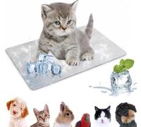 Sporgo Tapis rafraîchissant pour animaux de compagnie : 30 x 20 cm, coussin de refroidissement pour lapin, plaque de refroidissement en alliage d'aluminium, lit de glace d'été pour cochons d'Inde
