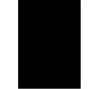 Sport and the Color Line: Black Athletes and Race Relations in Twentieth Century America