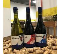 Sport Découverte Atelier Accords Vins et Fromages à Courbevoie