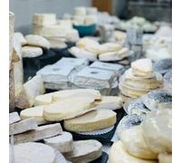 Sport Découverte Atelier Accords Vins et Fromages à Paris 10ème