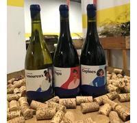 Sport Découverte Atelier de Fabrication de Vin à Courbevoie