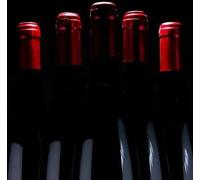 Sport Découverte Atelier de Fabrication de Vin à la Roche-sur-Yon